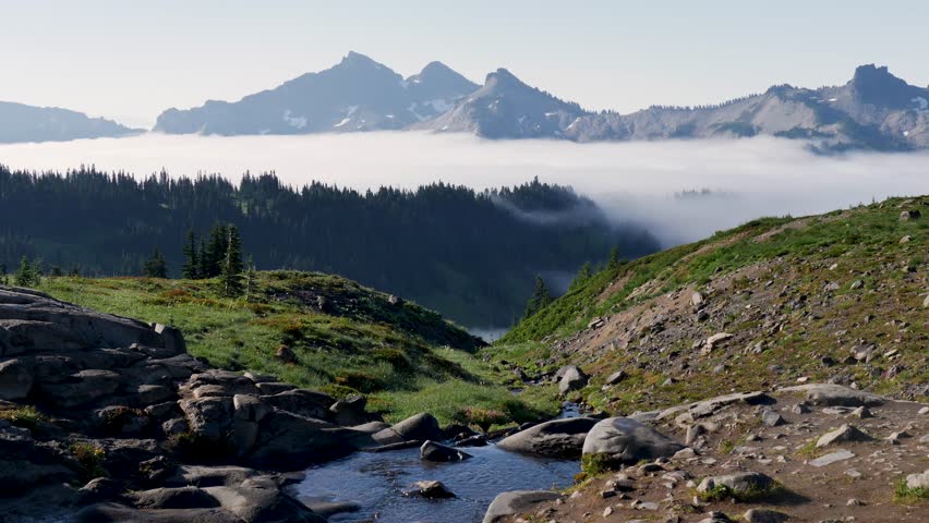 Slow motion landscape of water stream river with fog cloud cover haze over mountains in Mount Rainier national park pine tree forest hills Seattle Washington USA America travel hiking