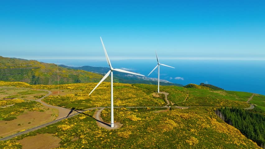 Green renewable alternative energy in Portugal - wind generator turbines among Cytisus flower shrubs generating electricity wind farm on Madeira island, Portugal. Pedestal tilt shot