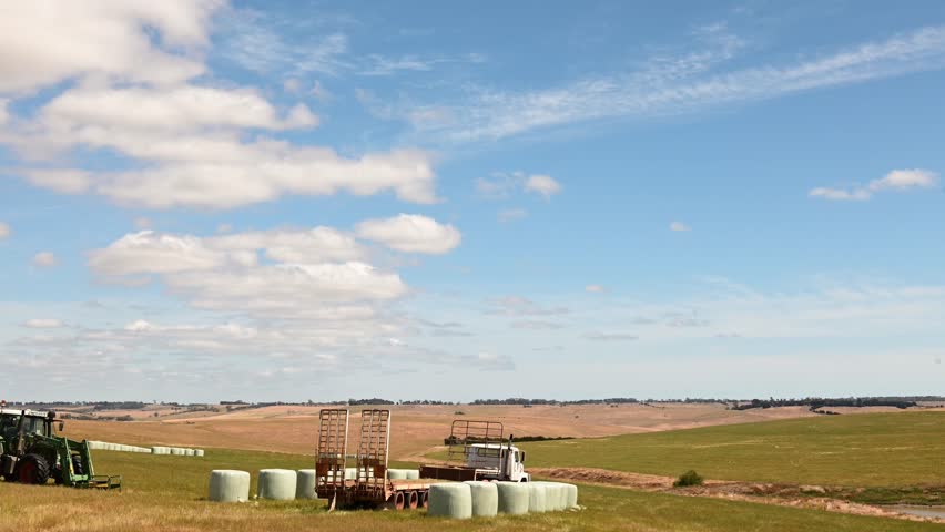Making hay bales in a field In Australian. Baling silage rolls in a meadow 