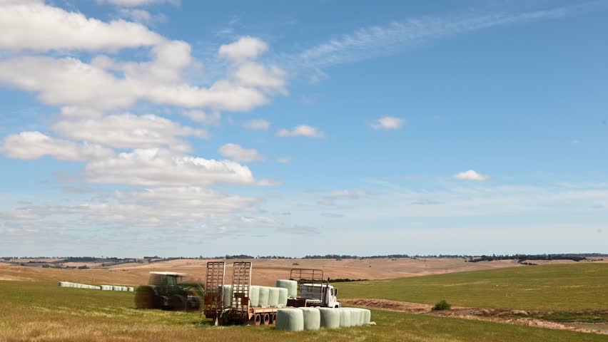 Making hay bales in a field In Australian. Baling silage rolls in a meadow 