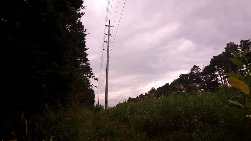 Floating leaf in countryside on stormy day.