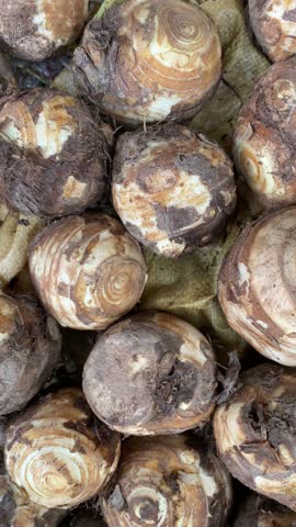 Beautiful View of Taro Vegetable