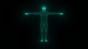 Body digital mesh. Computer generated 3d render - Powered by Shutterstock - Get 15% off with code: PIKWIZARD15