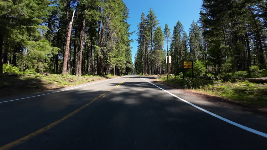 American Northwest Forest Highway 01 Front View Prospect Driving Plates Oregon USA Ultra Wide