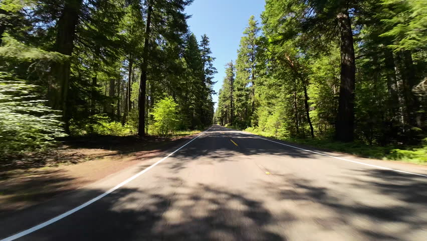American Northwest Forest Highway 03 Rear View Prospect Driving Plates Oregon USA Ultra Wide