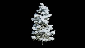 snow covered tree seamless loop waving on black background alpha channel, 3d render animation - Powered by Shutterstock - Get 15% off with code: PIKWIZARD15