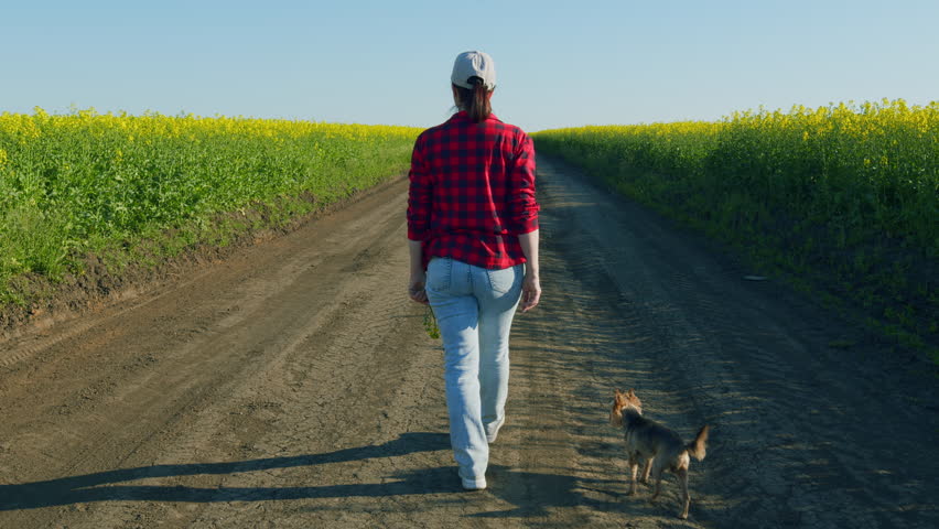 Woman Walking In Rapeseed Field. Enjoying Freedom And Calmness On Rural Nature. Agronomist Works In Open Field.