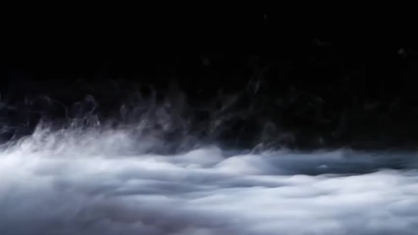 Shutterstock Video