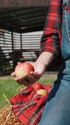 Rural resident, farmer in red shirt and denim blue overalls holding ripe fresh red apples in his hands. Rural life on ranch and agriculture