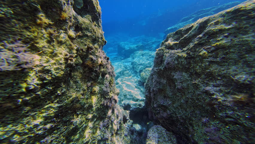 Girl in Goggles Diving and Swimming Through Ocean Reefs Exploring Vibrant Marine Life and Relaxing in Scenic Sea View During a Fun Weekend. High quality 4k footage