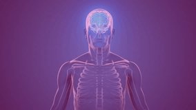 Animation of chemical formula over digital human. Technology, science and digital interface concept digitally generated video. - Powered by Shutterstock - Get 15% off with code: PIKWIZARD15