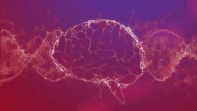 DNA strand and brain structure, scientific data processing animation. Science, technology, innovation, digital, analysis, genetics - Powered by Shutterstock - Get 15% off with code: PIKWIZARD15