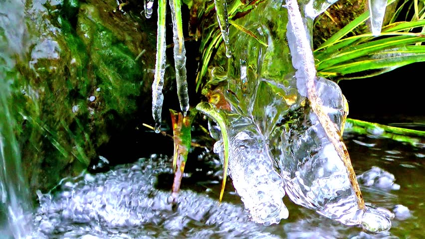 Icicles hanging from a waterfall on a garden pond