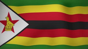 Level up text animation over Zimbabwe flag background. celebration, video game, achievement, progress, increment, milestone - Powered by Shutterstock - Get 15% off with code: PIKWIZARD15