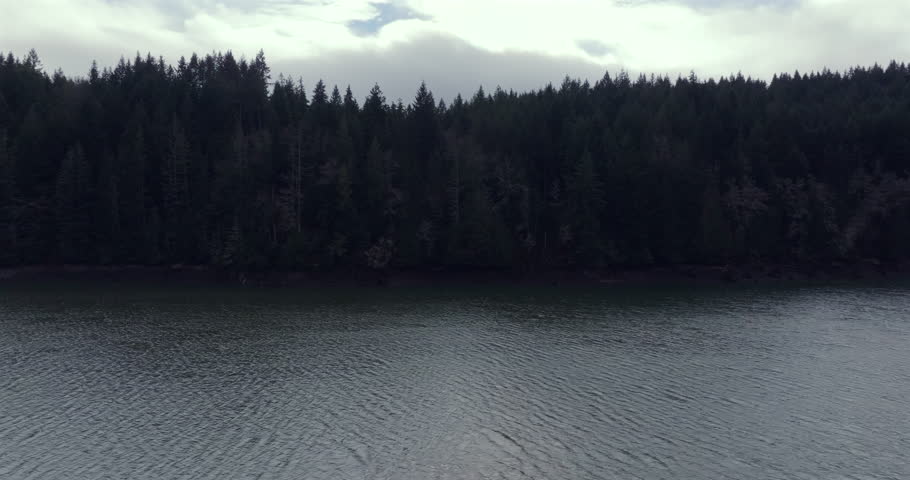 Dark Forest Reflected Over Calm Waters Under Overcast Skies in Washington State