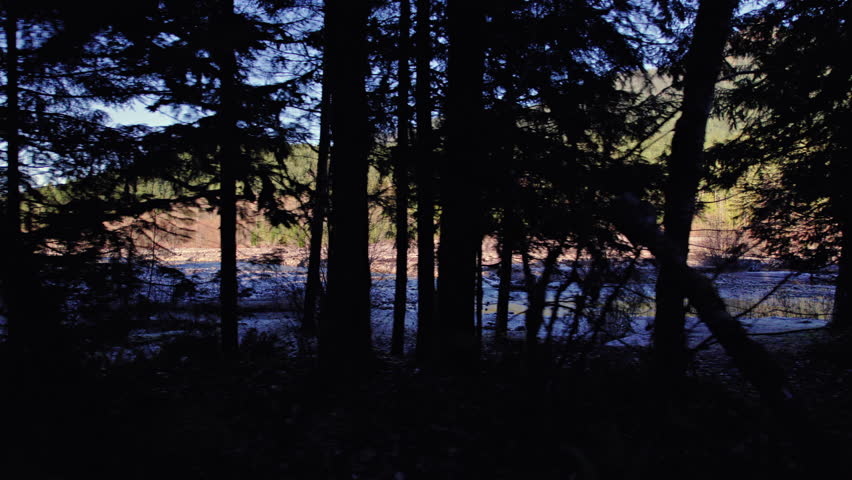 View Through Trees of a Riverbed and Forested Hills in the Pacific Northwest