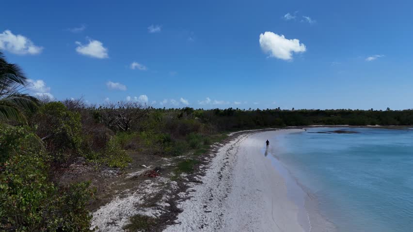 Playa Toro on Saona Island, Dominican Republic
