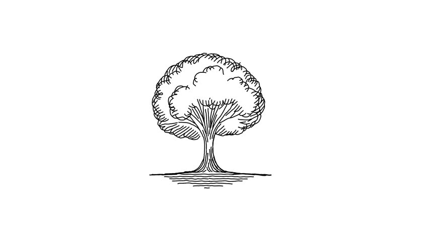 Elegant Tree Illustration for Natural Design Concepts