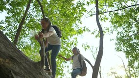 Children walking on log outside. kids balancing on tree trunk during outdoor adventure. Girls exploring nature walking on log. children enjoying nature walk outside. Active child walking on log forest - Powered by Shutterstock - Get 15% off with code: PIKWIZARD15