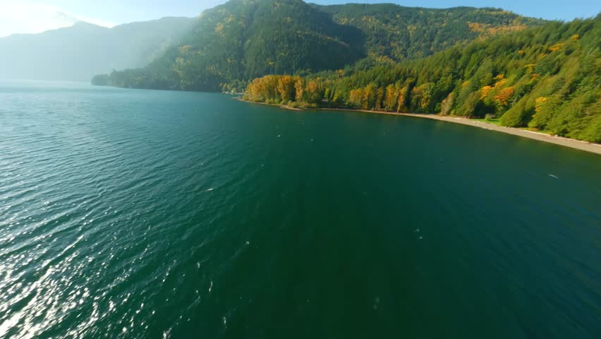 Fast agile flight over the surface of Harrison Lake. British Columbia, Canada.