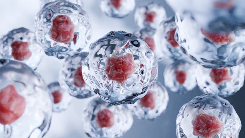 Human cells floating, Embryonic stem cell, Cellular therapy and Regeneration, Disease treatment, eosinophile, organic molecular structure, cancer and Virus, microscopic of Human cells, 3d render