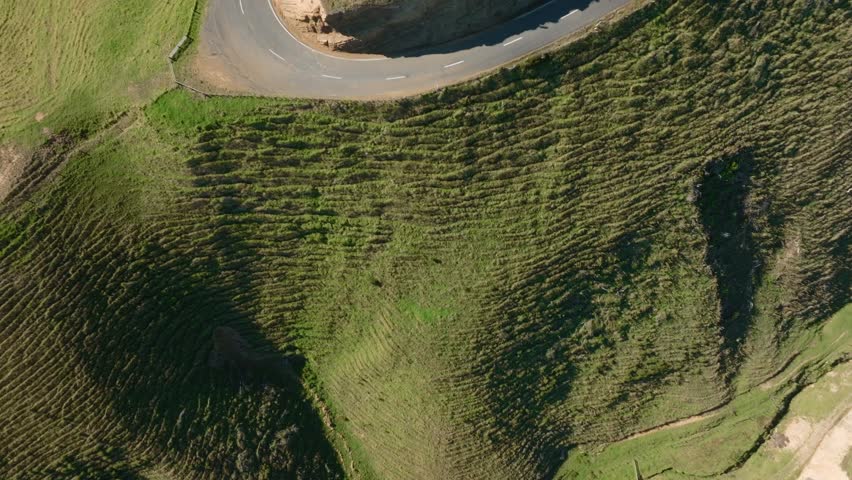 Rural farmland anc country road of Marokopa, Waikato, New Zealand.