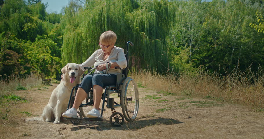 An elderly woman in a wheelchair walking with her Golden Retriever in a park.