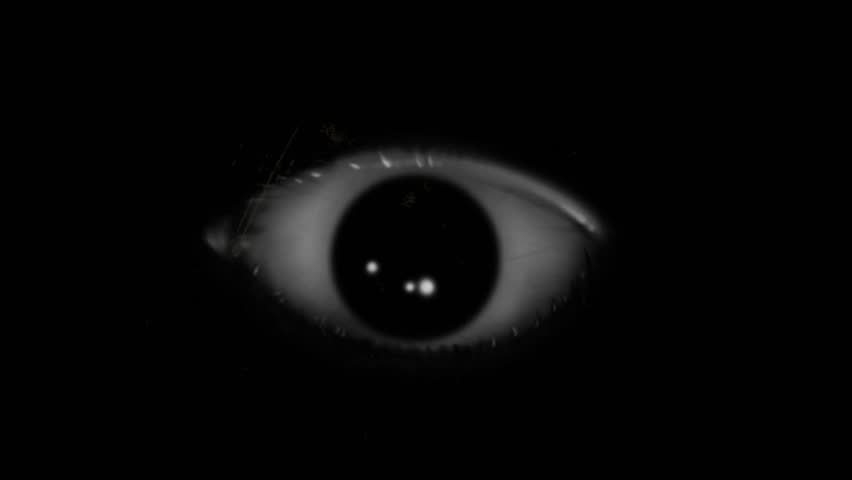 Eyes In The Dark Stock Videos Royalty Free HD 4K Videos