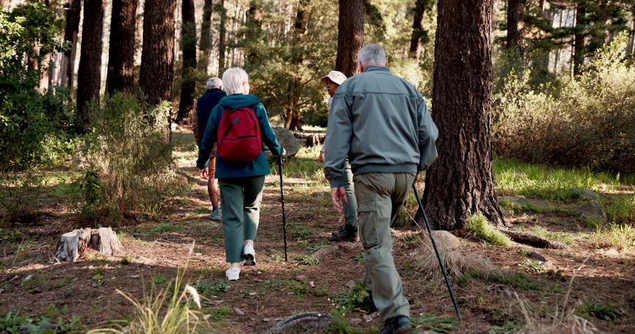 Back, senior or friends on trail hiking outdoor adventure or journey for travel in nature or forest. Group, exercise and elderly people in woods for holiday retirement, walking or trekking to explore