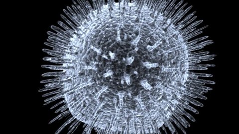 Human immune system virus on black background moving across screen from left to right 