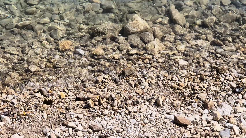 Water flowing in Santa Caterina lake - Italy