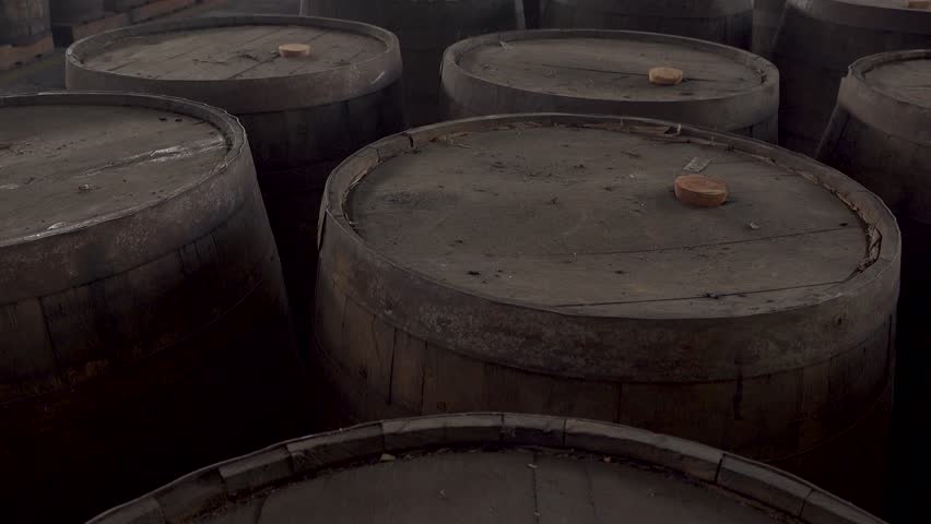 The tops of dusty wooden barrels with corks in them aging rum in a warehouse