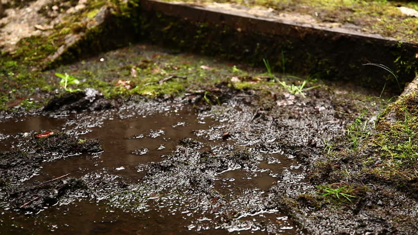 Soldiers running through mud