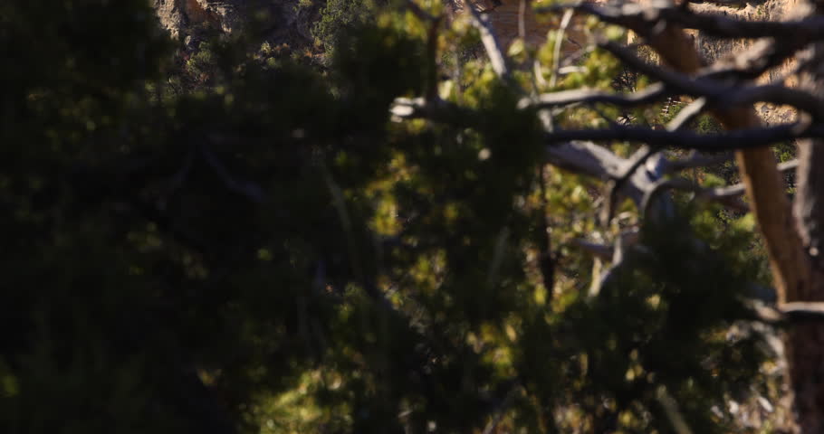Pueblo cliff dwellings abandoned settlement Mesa Verde National Park Ancestral Montezuma County Colorado USA travel tourism