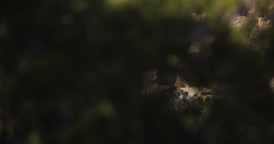 Reveal Mesa Verde National Park Pueblo cliff dwellings a famous travel tourism destination Montezuma County Colorado USA