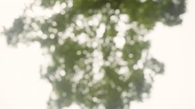 Group volunteer people joining for World environment day Global community teamwork,CSR and ESG environmental energy saving cooperation.celebrate team success business sustainability lifestyle concept. - Powered by Shutterstock - Get 15% off with code: PIKWIZARD15