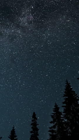 Time lapse of moving stars over a forest in the night sky. Starry night background. Epic video, vertical footage