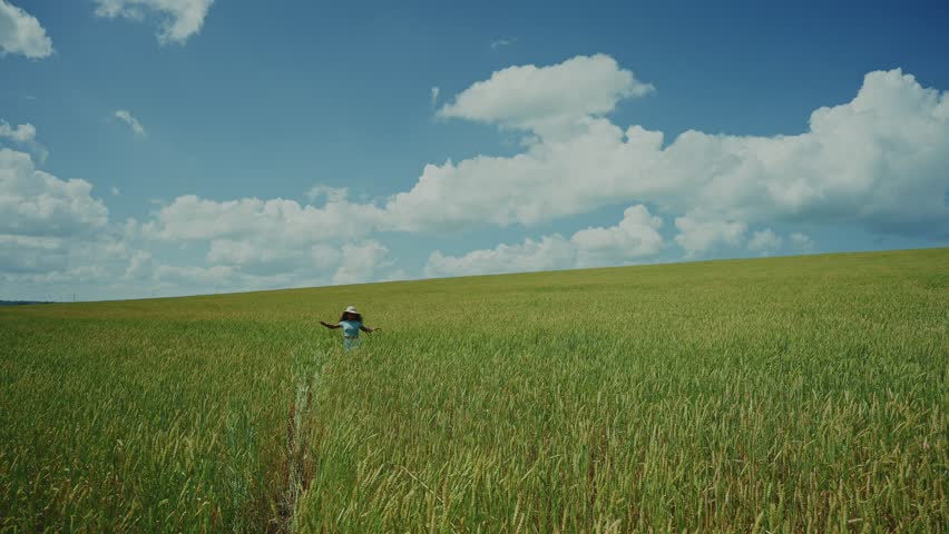 A walk through in a vibrant green field under a clear blue sky, taking in the beauty of the landscape on a sunny day filled with fluffy clouds.