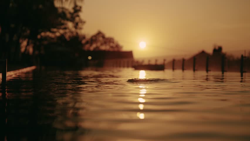 Beautiful woman bathing in swimming pool, waving her wet hair, silhouette. Sunset time and graceful female figure against sky in contour light, relaxation and pleasure in luxury hotel, enjoy life