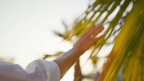 Female tourist in Mediterranean region, closeup of hand on palm leaves in garden . Enjoy calmness, silence and solitude in tropical Island, tourism and traveling, details view, young adult woman hand - Powered by Shutterstock - Get 15% off with code: PIKWIZARD15