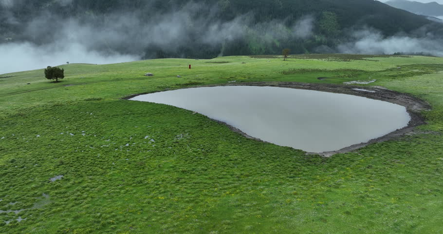 Beautiful lake in flowering grassland mountain landscape 