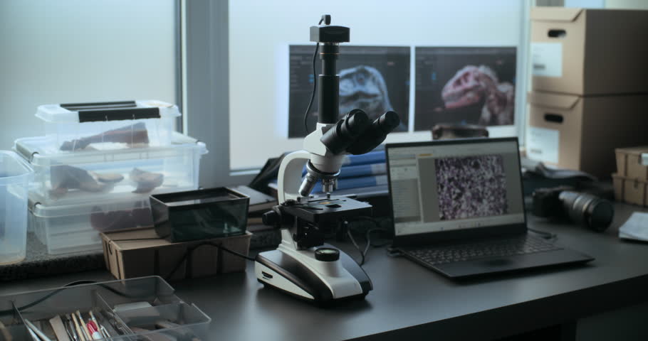 Workplace in advanced archaeological laboratory. Microscope for fossil analysis and scientific microbiological research and laptop. Bones remains in boxes and tools on the table. Concept of science.