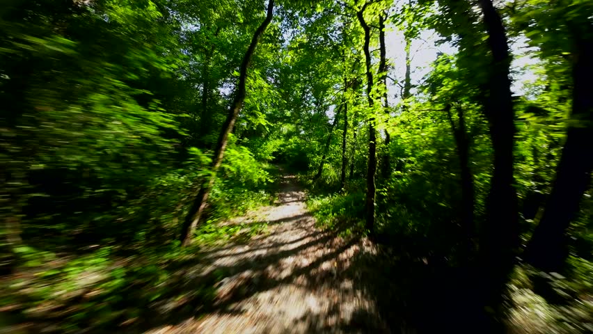 Shutterstock Video