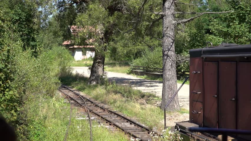 train locomotive carries felled timber. Tree trunks in wagons. Logs, firewood. Deforestation in mountain