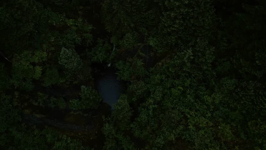 Aerial drone footage flying over Mendenhall Glacier and River