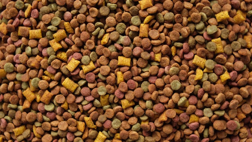 Pet Food Texture. Lot of Dry Granules of Crunchy Dog or Cat Food. Rotating Background. Animal Feed Pile. Fodder. Meal for Cats, Dogs. Filling. Daylight. Advertising. Pet Shop, Delivery. Healthy Treat