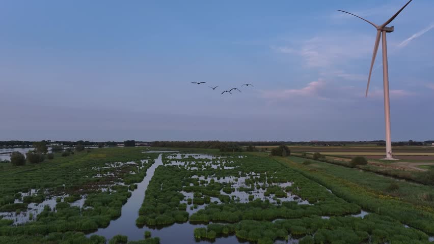 A wind turbine stands tall over wetlands with birds flying in the sky at dusk