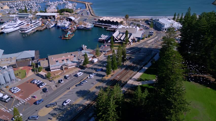 Flock of birds fly from pine trees near Fremantle yacht marina in Perth, Western Australia - aerial view