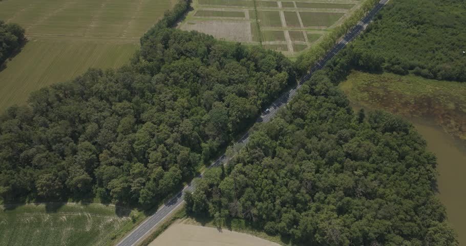 Aerial view of scenic Parc des Oiseaux with lush green fields, forest, and winding road, Marlieux, France.