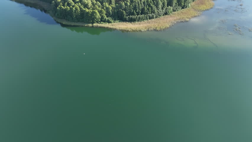 View of lush forest peninsula in emerald lake.
Video footage of intersection of dense forest and tranquil water. 